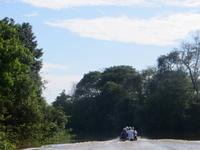 Pantanal