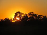 Pantanal
