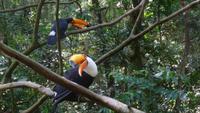 Vogelpark Iguazu