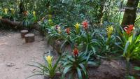 Vogelpark Iguazu