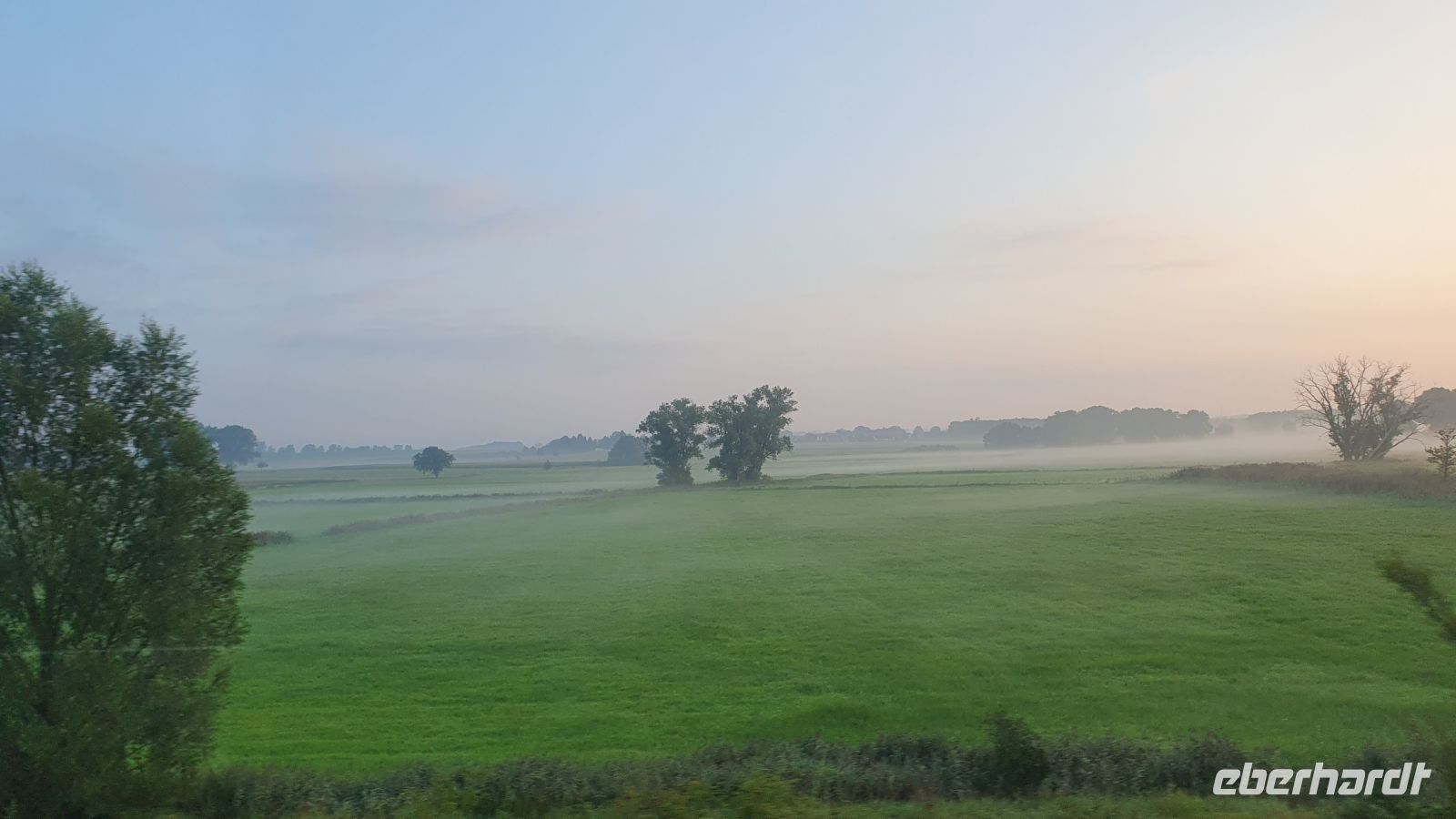 Morgennebel 20230820_063616.jpg