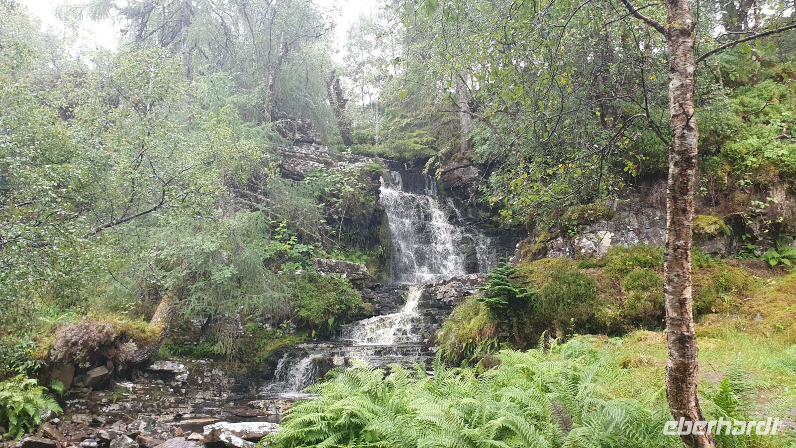 in der Corrieshalloch Gorge 20230825_113913.jpg