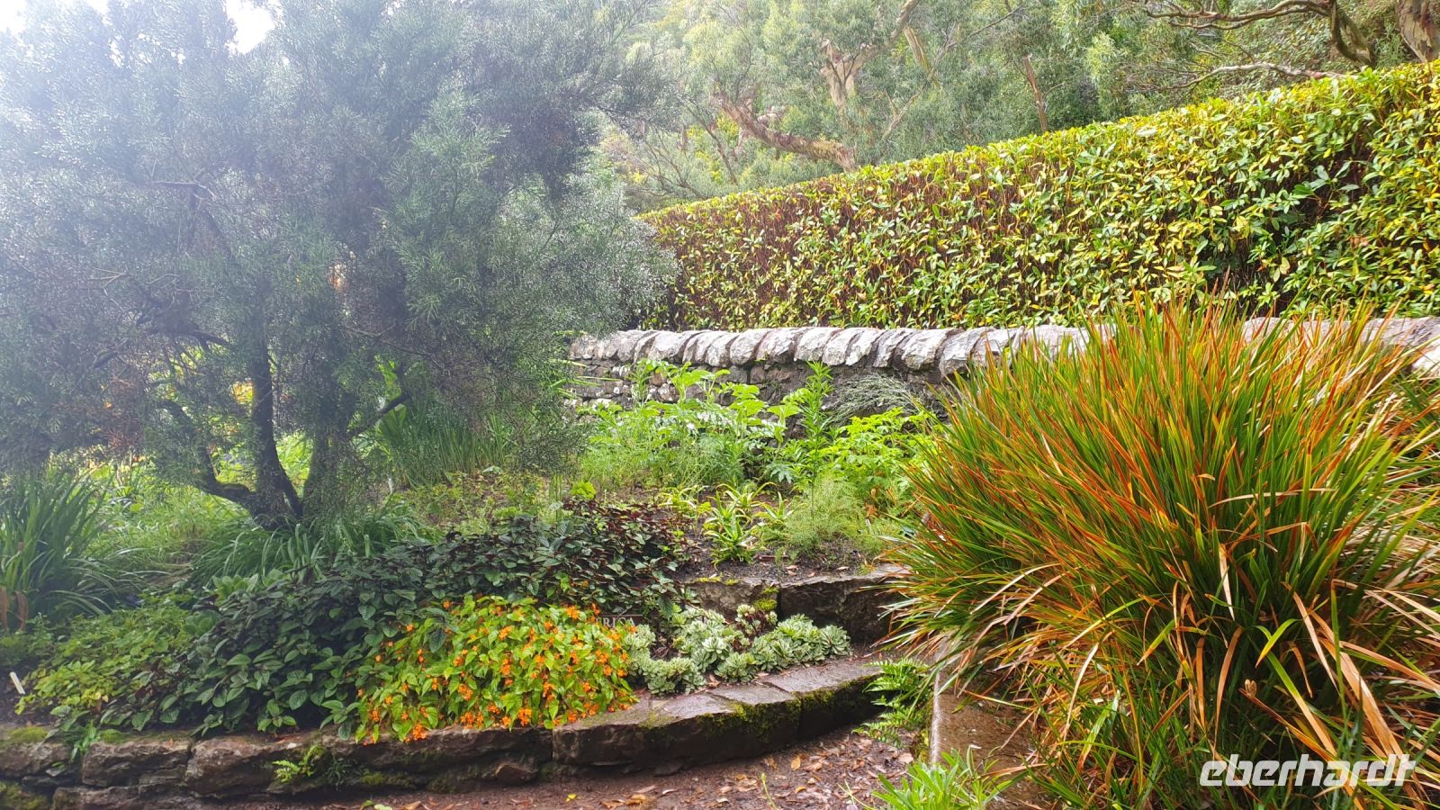 Inverewe Garden 20230825_140015.jpg