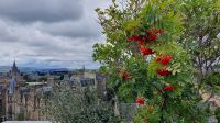 Blick vom Dach des Edinburh National Museum 20230822_130012.jpg