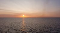 Guten Morgen 20230821_060715.jpg