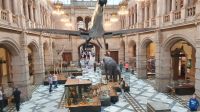 Kelvingrove Museum Glasgow 20230827_163634.jpg
