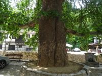 Ein schattiges Plätzchen in Melnik