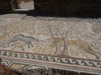 Ausdrucksvolle Mosaikfußböden