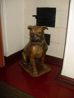 bei Fremden bellt er