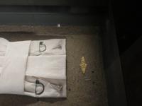 0663 Thessaloniki - Archäologisches Museum - Funde aus dem 3. Jh. vor Chr. &ndash; &copy; Annette Weise (Eberhardt TRAVEL)