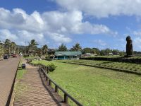 Die erste Moai Statue auf der Osterinsel