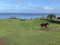 Rundgang und Besichtigung an der Tahai Stätte 