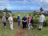 Rundgang und Besichtigung an der Tahai Stätte 