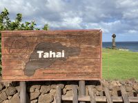 Rundgang und Besichtigung an der Tahai Stätte 