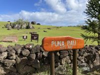 Besuch der Stätte Puna Pau