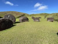Besuch der Stätte Puna Pau