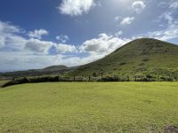 Besuch der Stätte Puna Pau