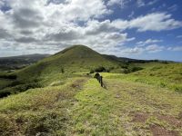 Besuch der Stätte Puna Pau