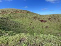 Besuch der Stätte Puna Pau