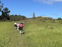 Besuch der Stätte Puna Pau