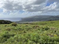 Besuch des Kraters Kotepokouri Rano Kau