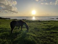 Sonnenuntergang in Hanga Roa
