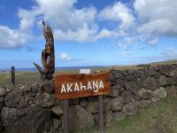 Rundgang in der Akahanga Stätte