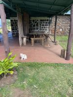 Rundgang am Steinbruch Ranu Raraku