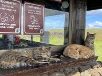 Besichtigung der Stätte Te Pito Kura