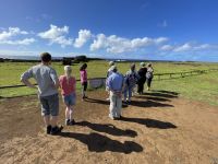 Besichtigung der Stätte Te Pito Kura