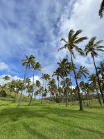Zu Besuch am Traumstrand Anakena