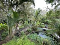 Zu Besuch im Botanischen Garten von Hanga Roa