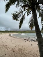 Badeausflug zum Anakena Strand