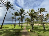 Baden am Anakena Strand