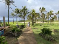 Baden am Anakena Strand