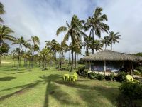 Baden am Anakena Strand