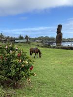 Spaziergang durch Hanga Roa