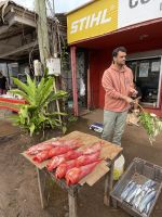 Spaziergang durch Hanga Roa