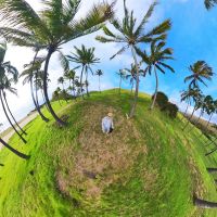 Zu Besuch am Traumstrand Anakena