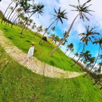 Zu Besuch am Traumstrand Anakena
