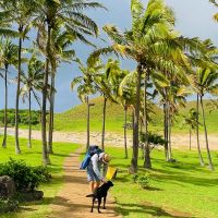 Baden am Anakena Strand