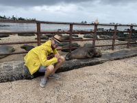 Spaziergang durch Puerto Baquerizo Moreno auf San Christobal - Seelöwenkolonie