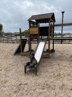 Spaziergang durch Puerto Baquerizo Moreno auf San Christobal - Seelöwenkolonie