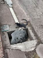 Spaziergang durch Puerto Baquerizo Moreno auf San Christobal - Leguane & Seelöwenkolonie