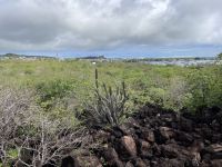 Spaziergang durch den Nationalpark von San Christobal