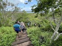 Spaziergang durch den Nationalpark von San Christobal