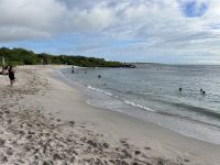 Spaziergang durch den Nationalpark von San Christobal - Baden am Point Carola Beach