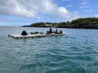 Bootsausflug zur Isla Lobos