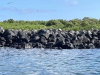 Bootsausflug zur Isla Lobos