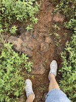 Wanderung auf der Isla Lobos
